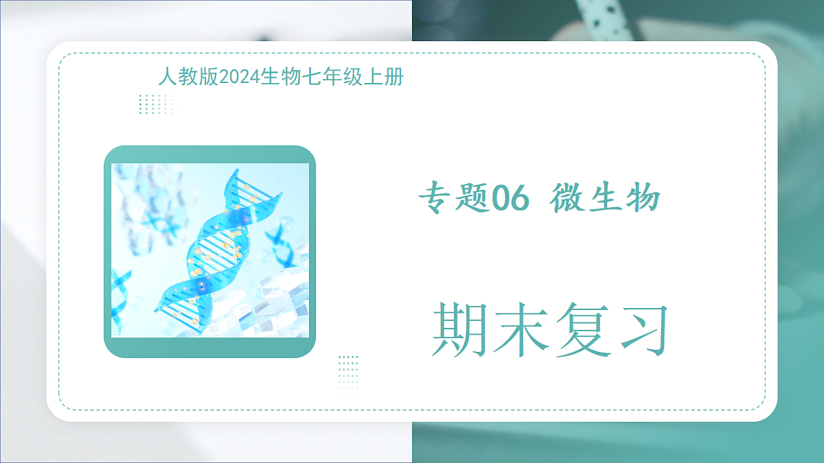 17668577第1页