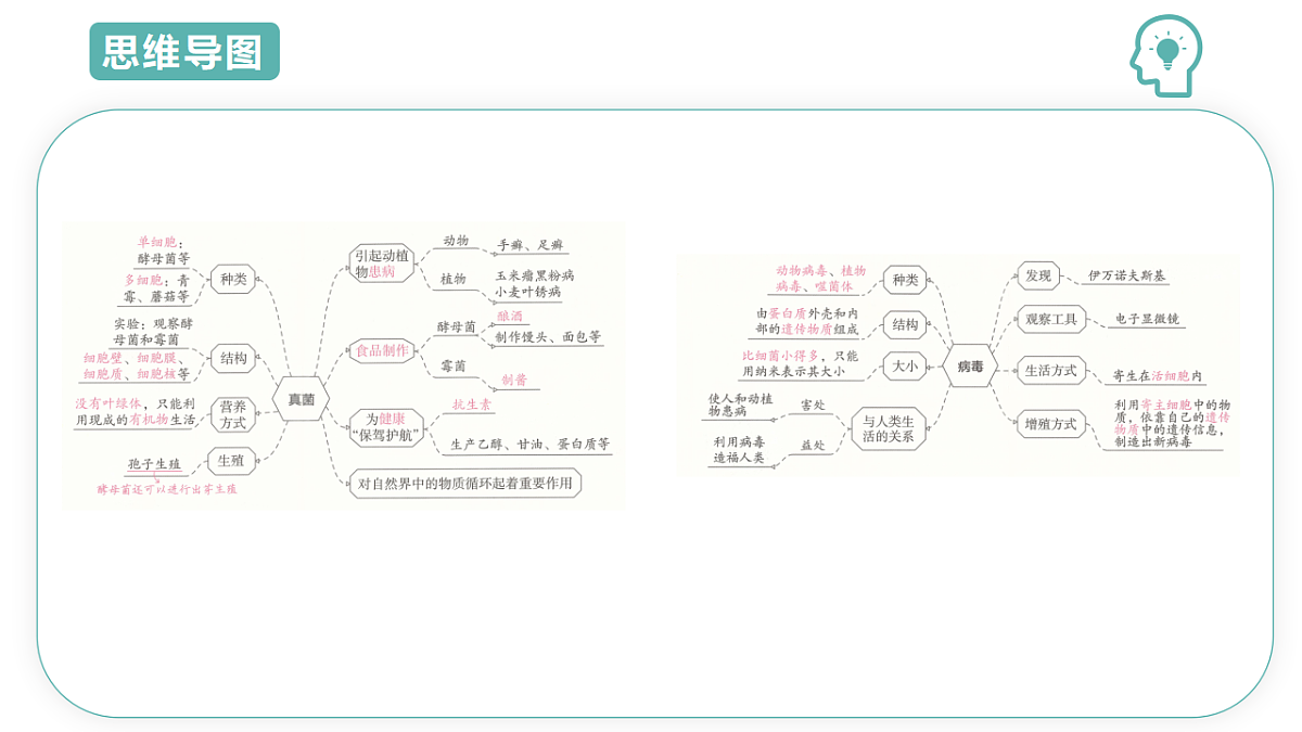 17668577第4页