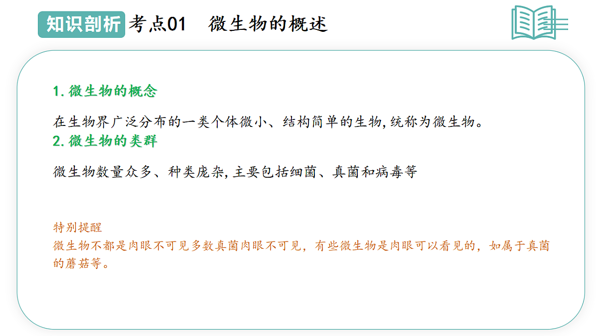 17668577第6页