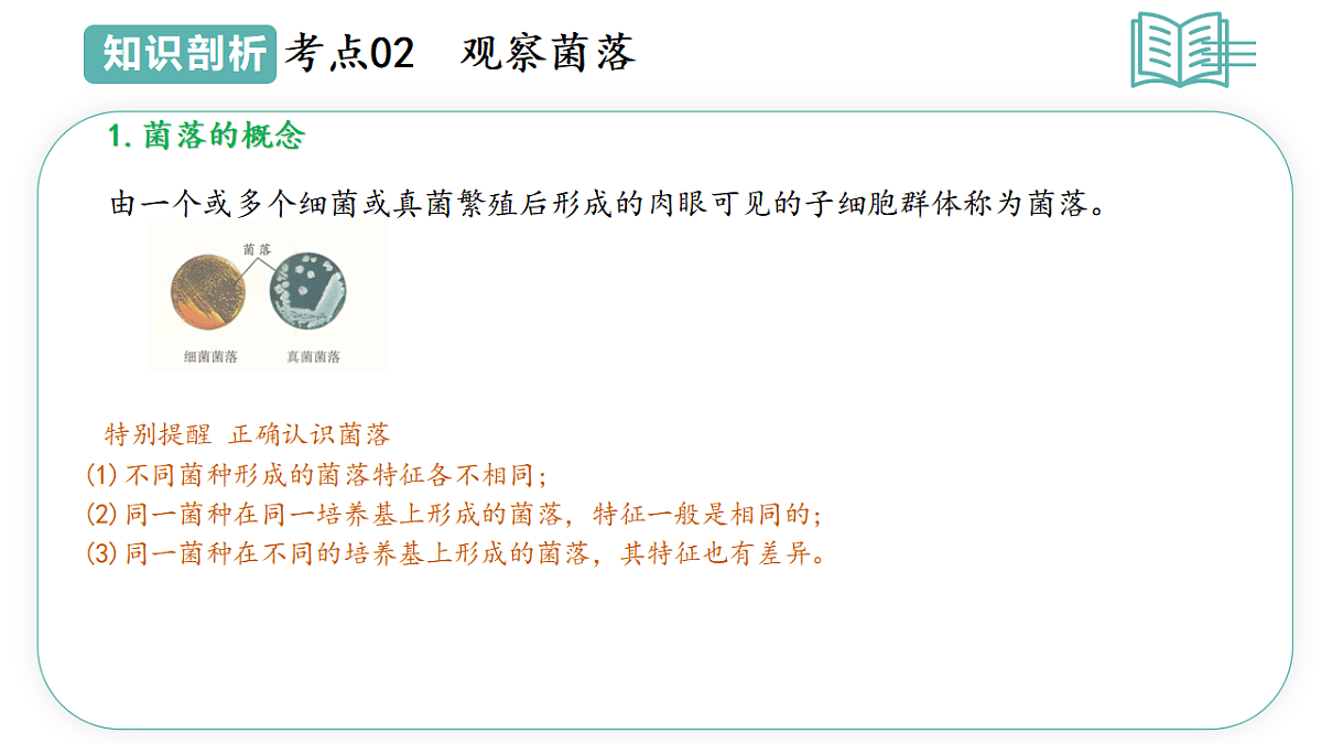 17668577第7页