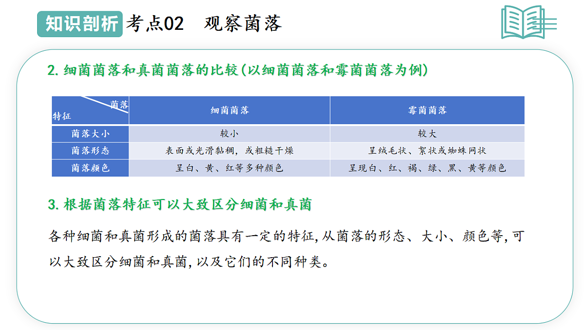 17668577第8页