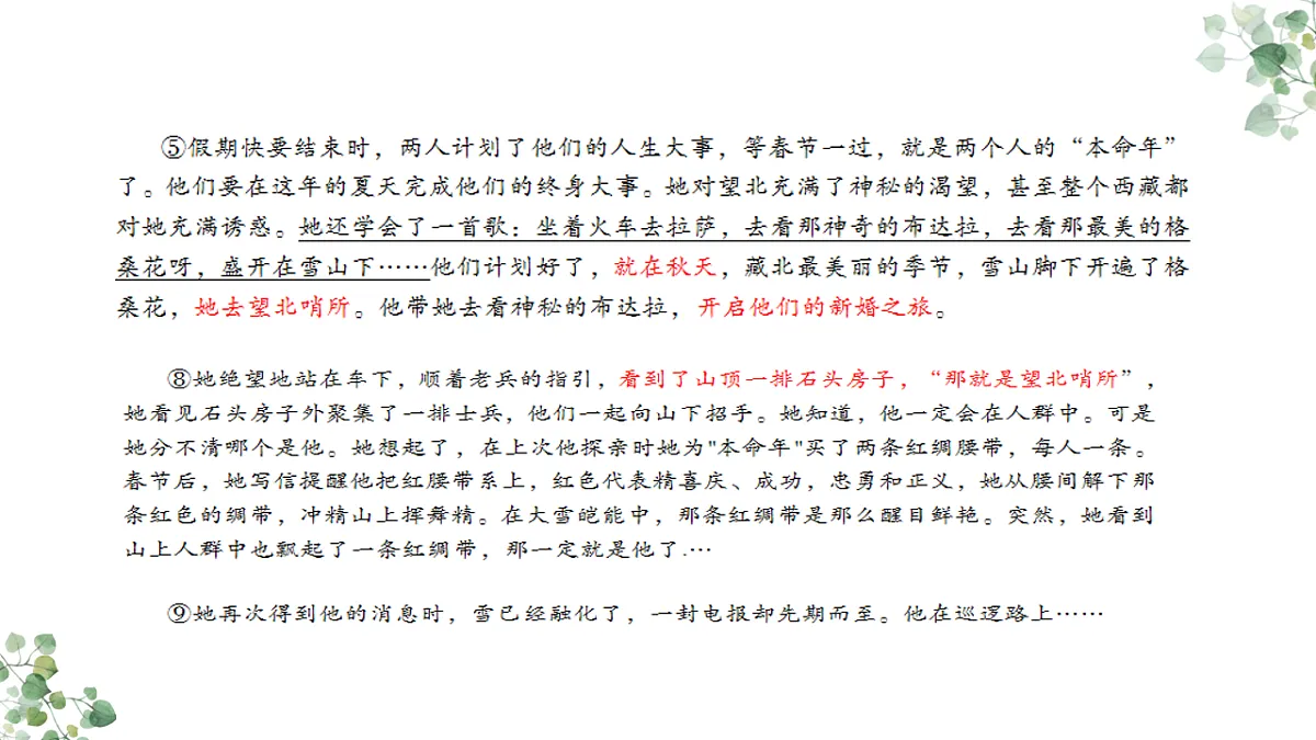17668658第5页
