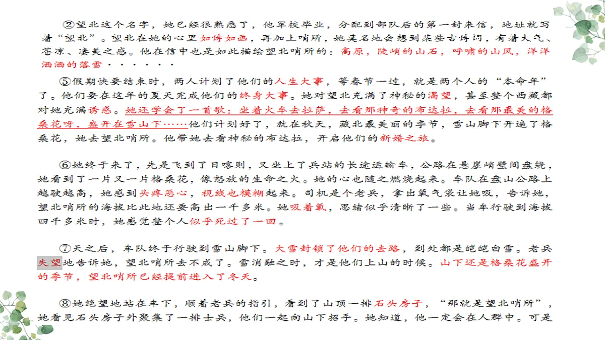 17668658第8页