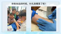 教科版（2024）五年级上册心脏和血液课前预习课件ppt