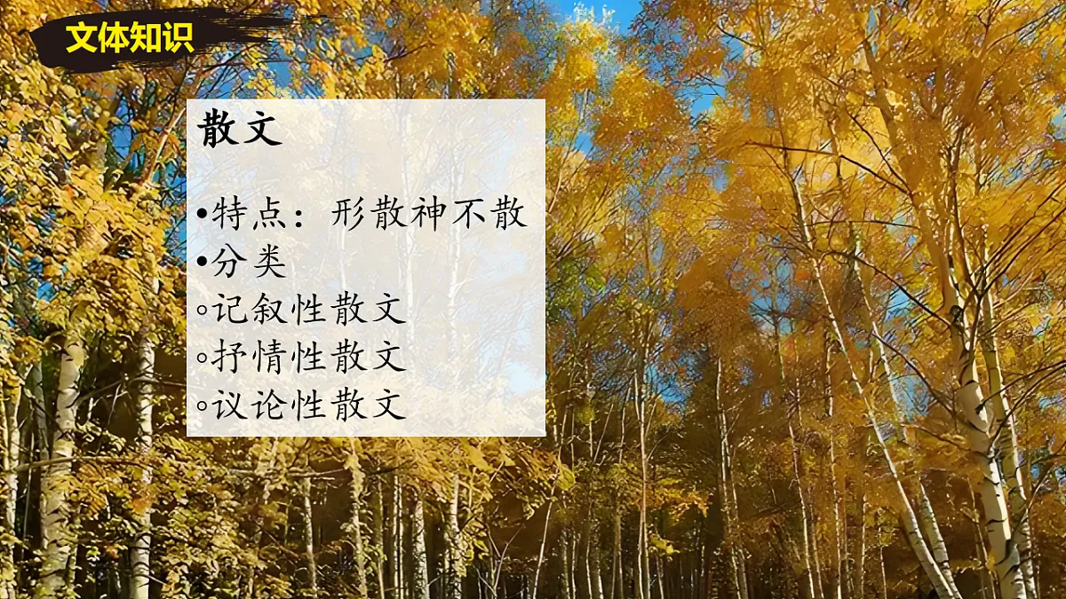 17668986第2页