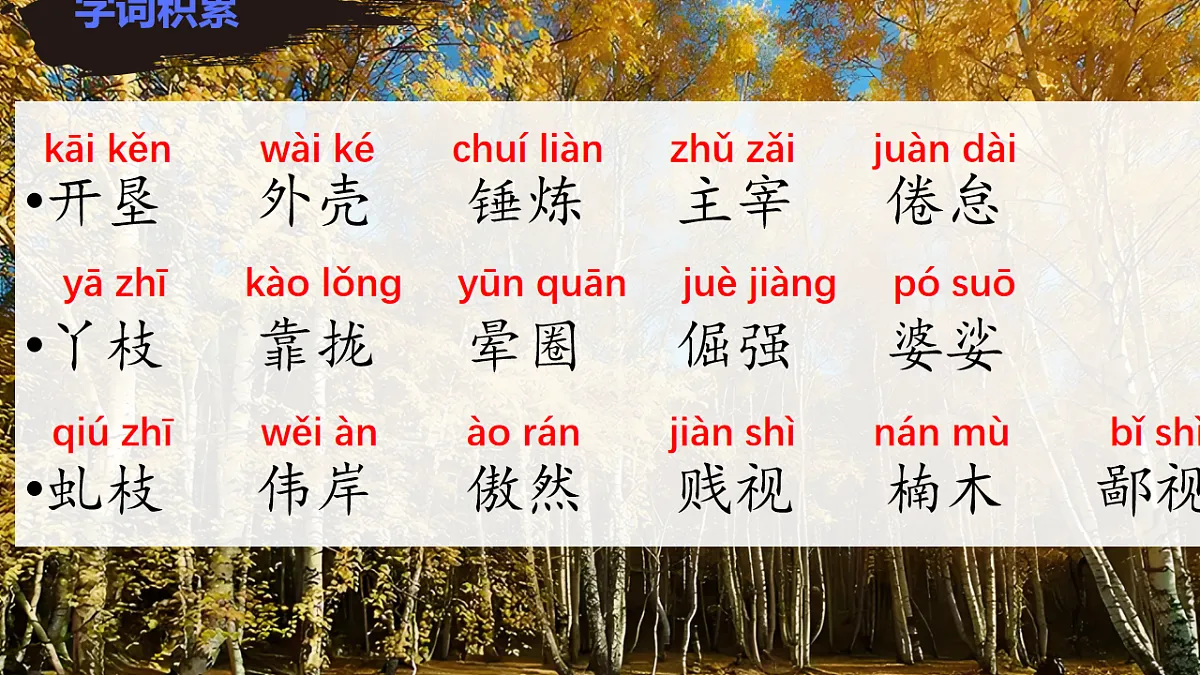 17668986第5页