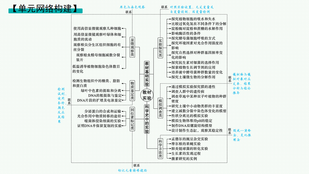 17669161第2页