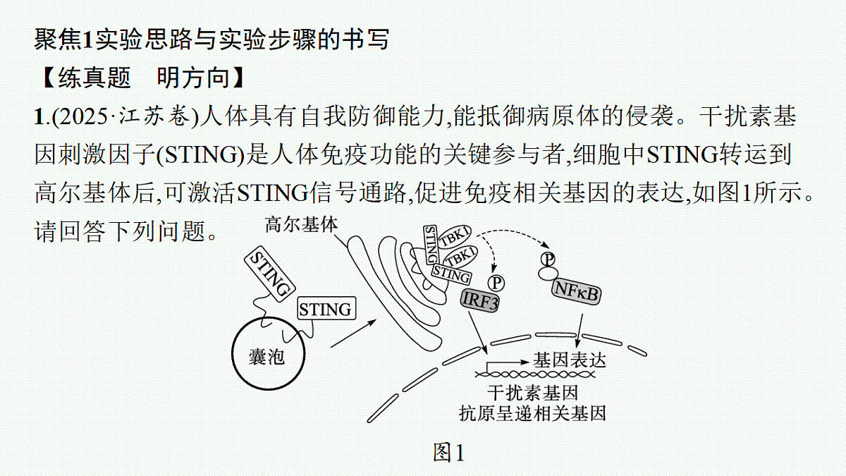 17669161第4页