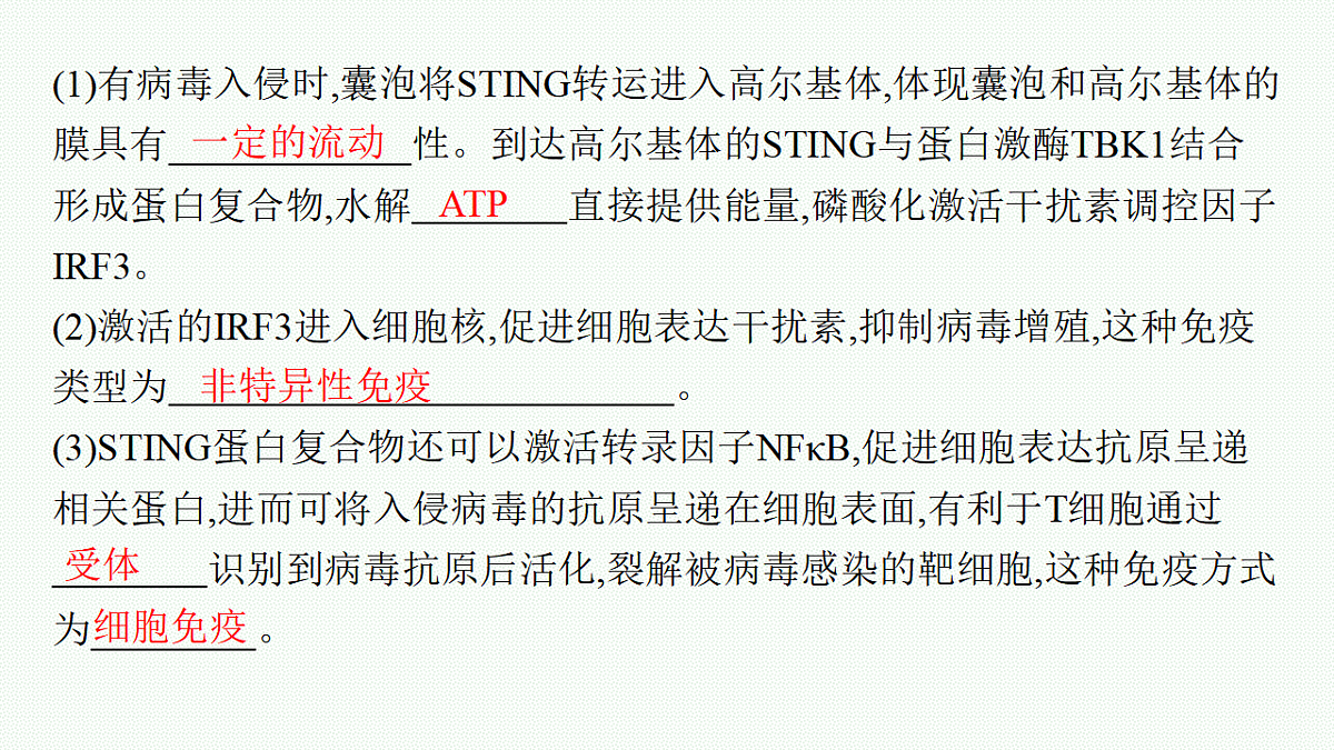 17669161第5页