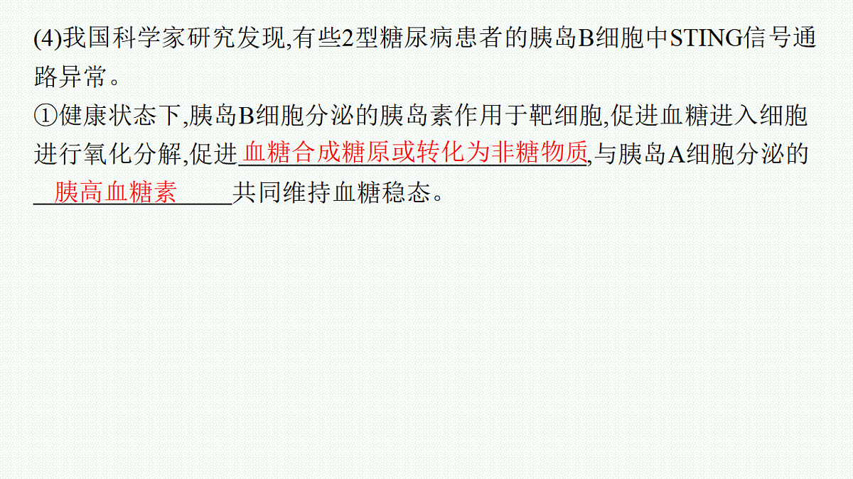 17669161第6页