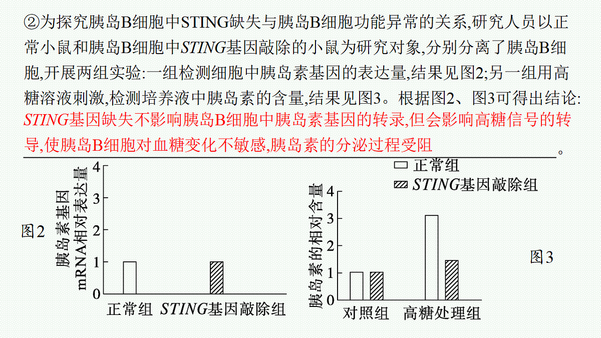 17669161第7页