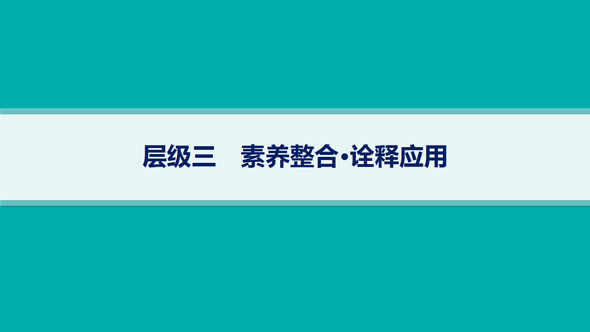 17669177第1页