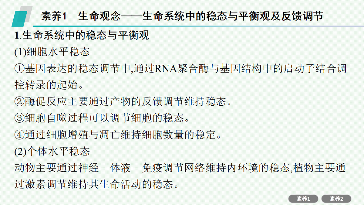 17669177第2页
