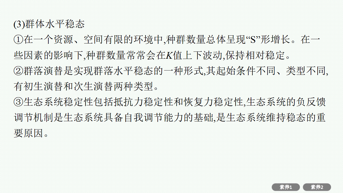 17669177第3页