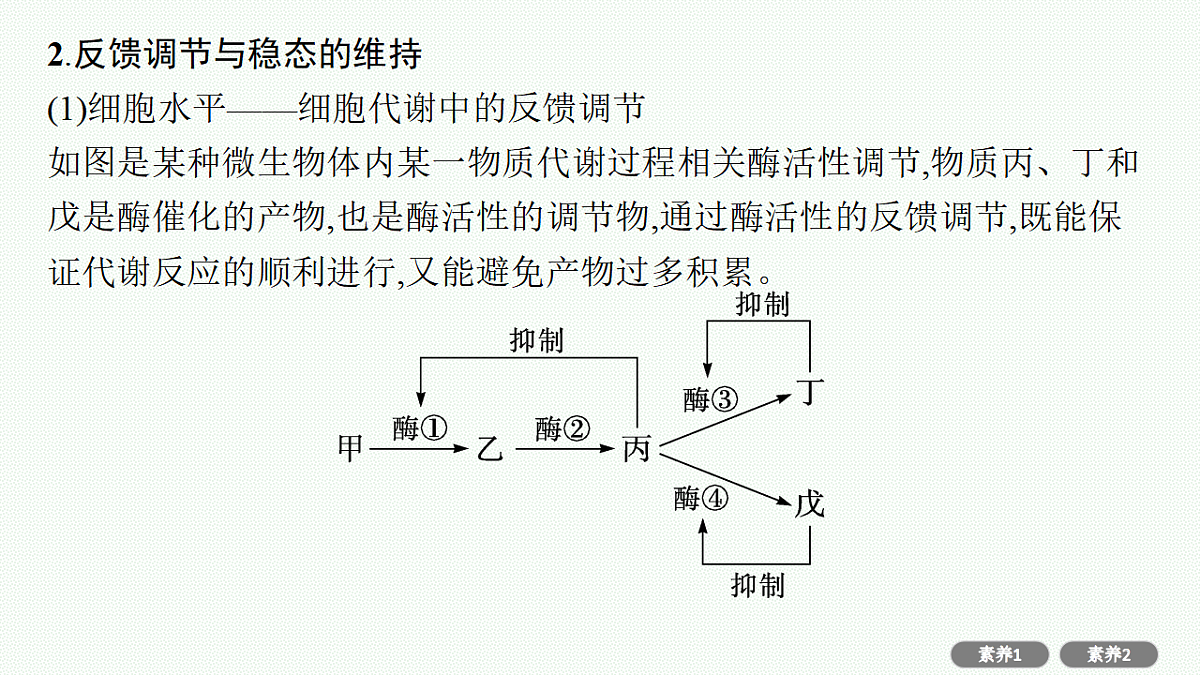 17669177第4页