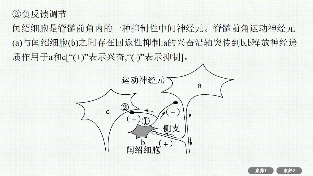 17669177第6页