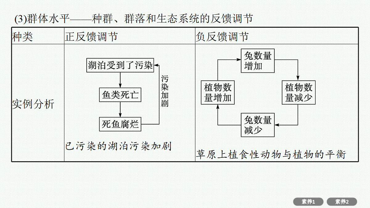 17669177第7页