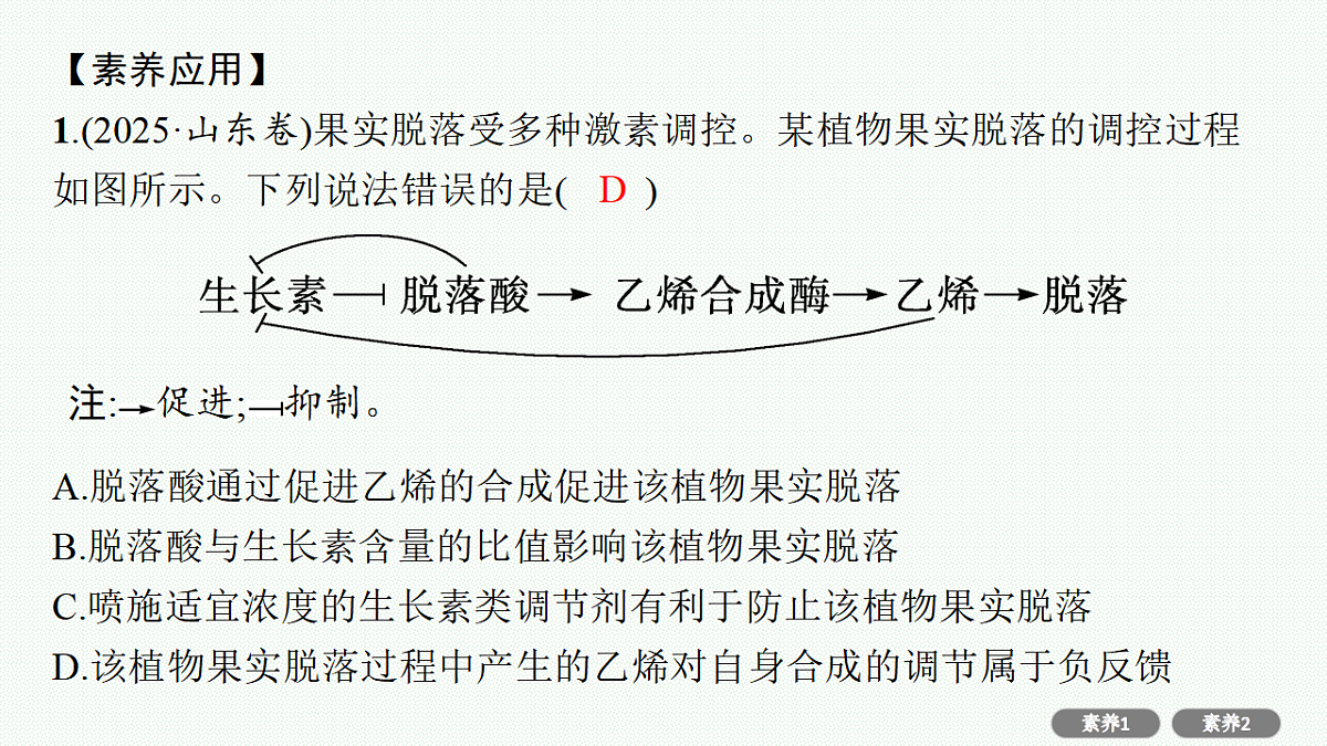 17669177第8页