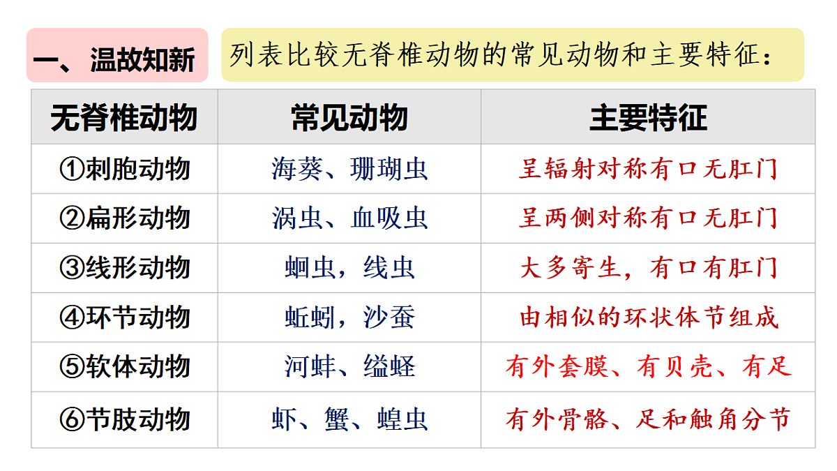 17670586第2页
