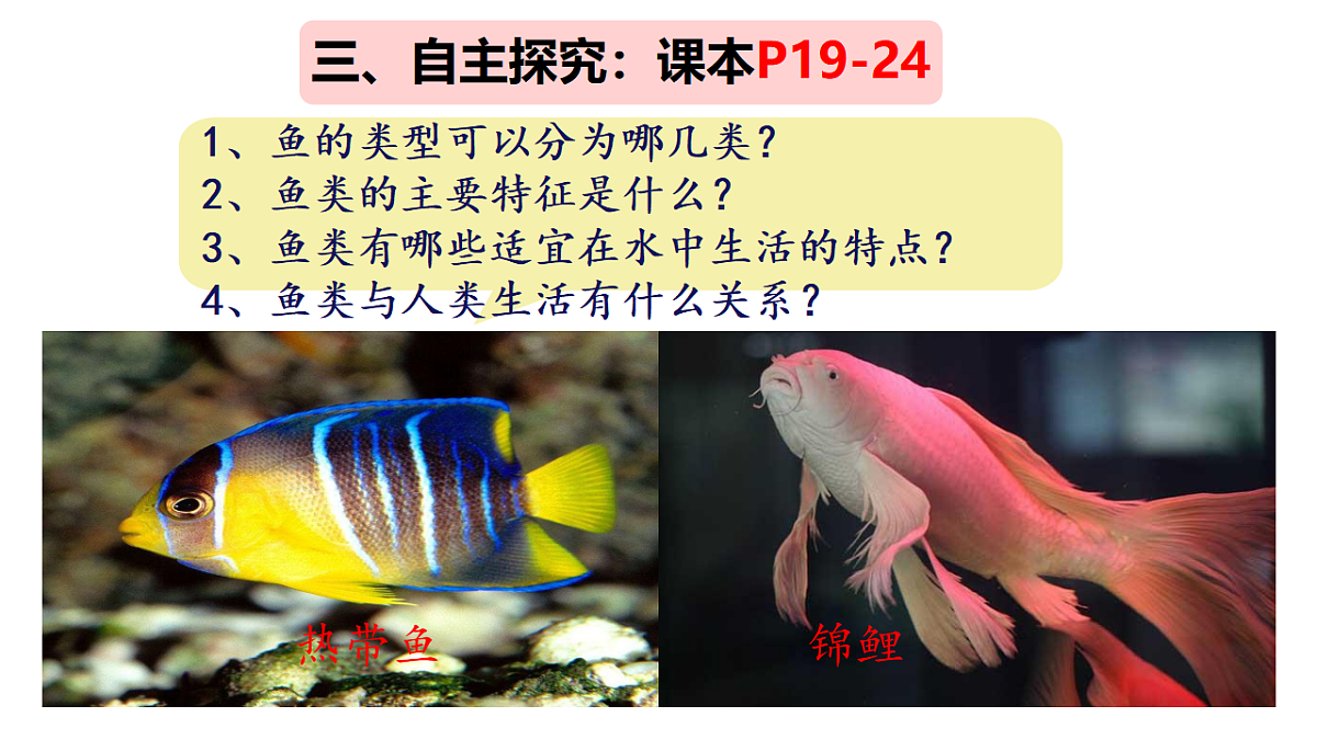 17670586第4页
