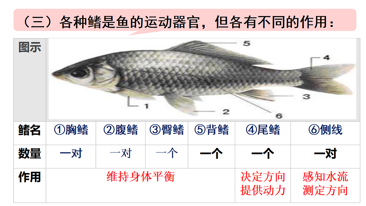 17670586第8页