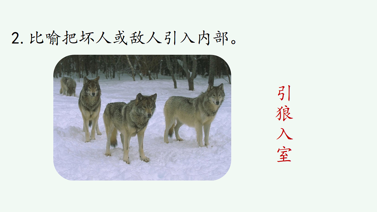 17671431第3页
