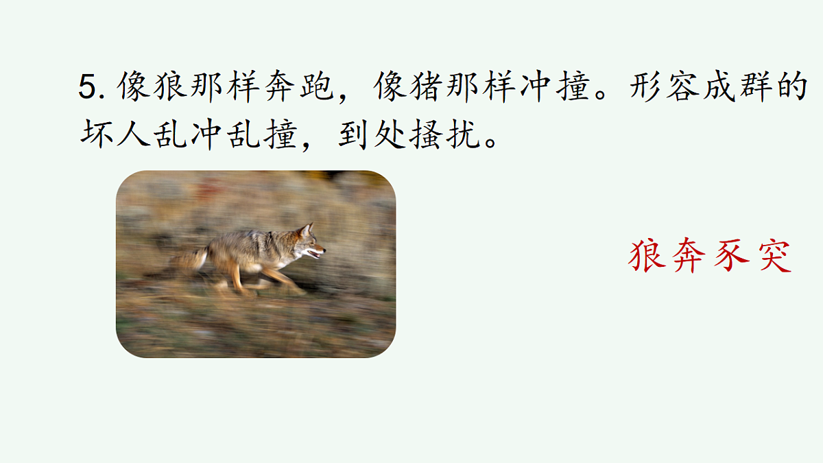 17671431第6页