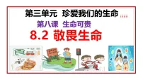 初中政治 (道德与法治)人教版（2024）七年级上册（2024）敬畏生命授课ppt课件