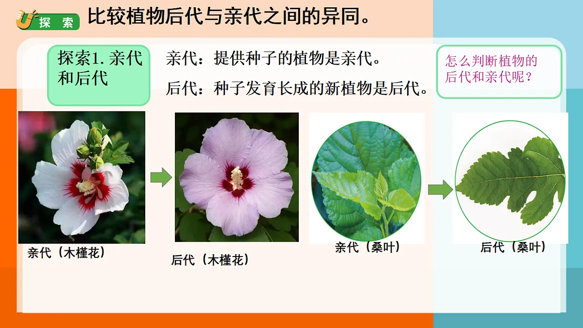 17672048第3页