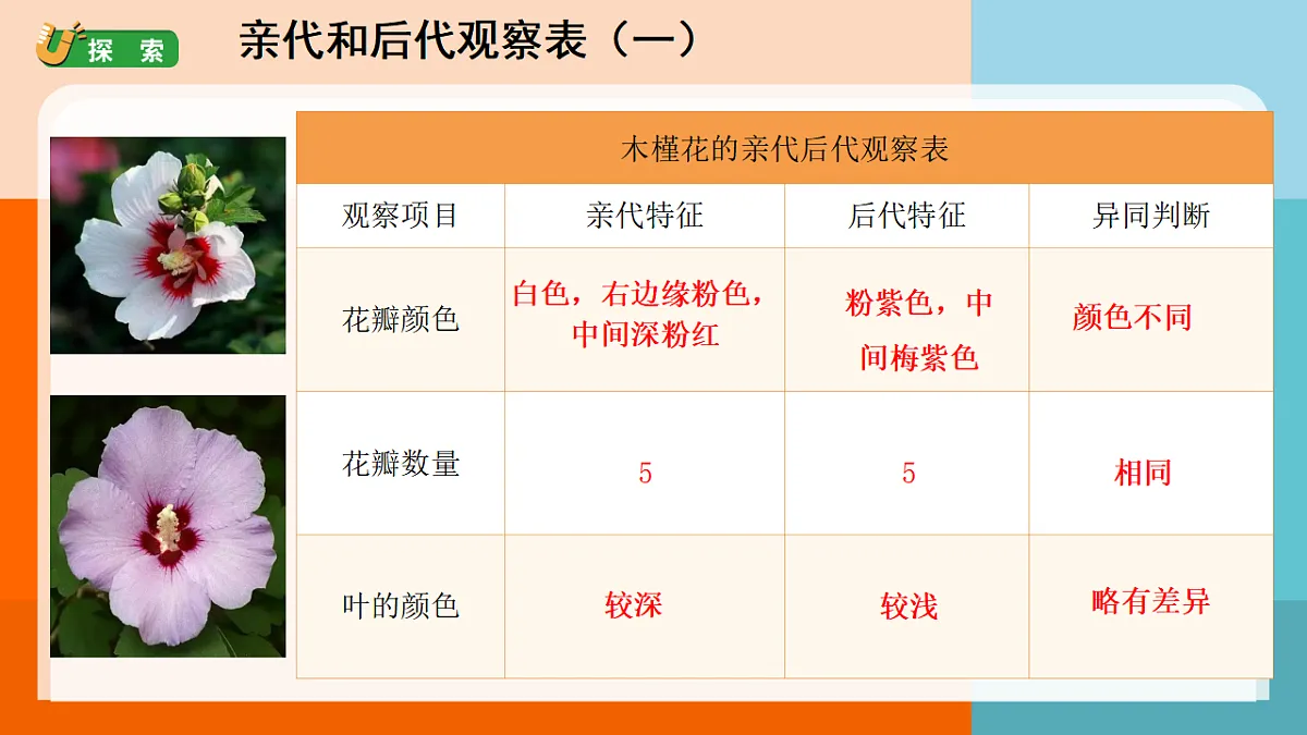 17672048第4页