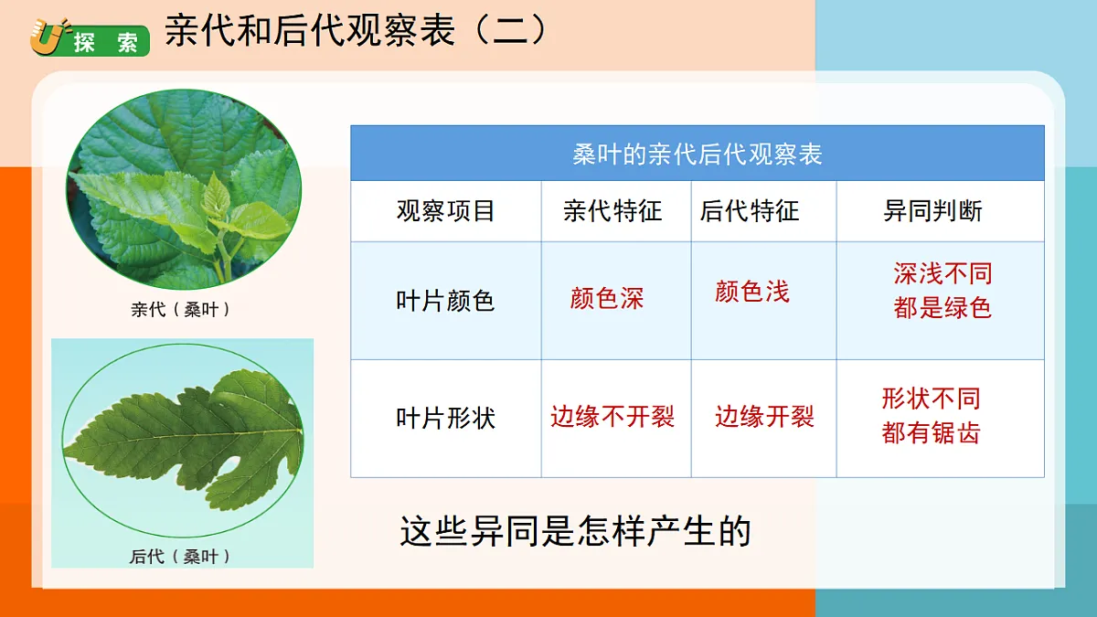 17672048第5页