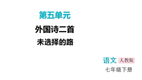 人教部编版（2024）七年级下册未选择的路教课内容ppt课件