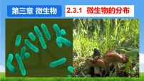 人教版（2024）微生物的分布课文内容ppt课件