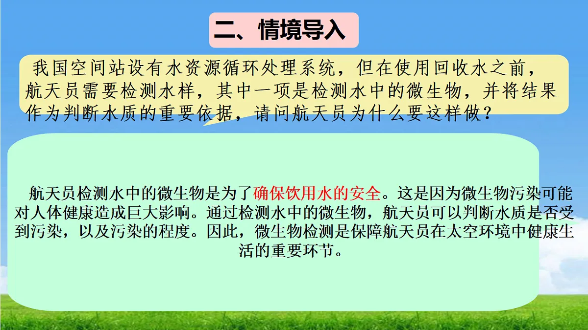 17672775第2页