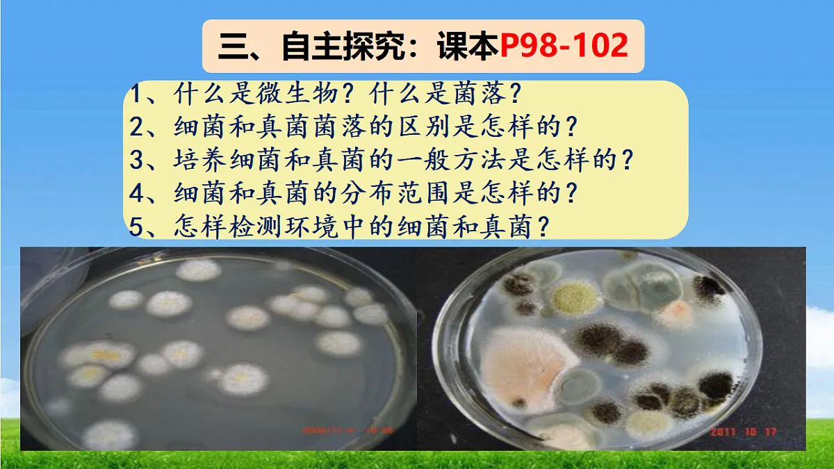 17672775第3页