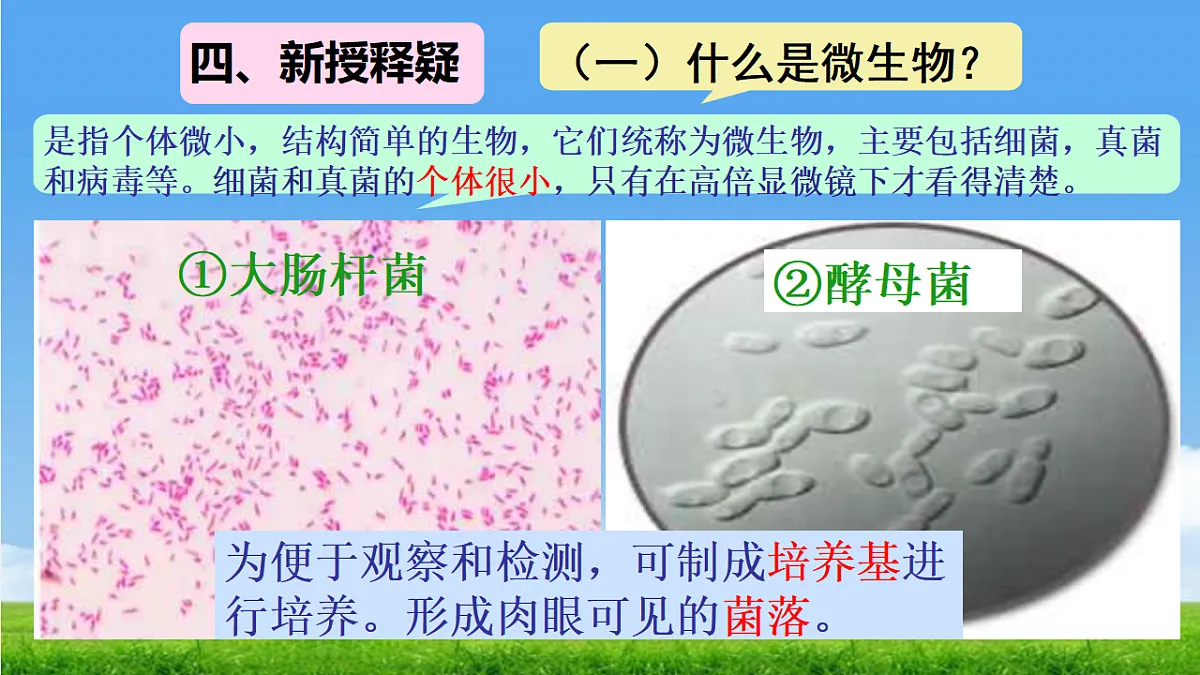 17672775第4页