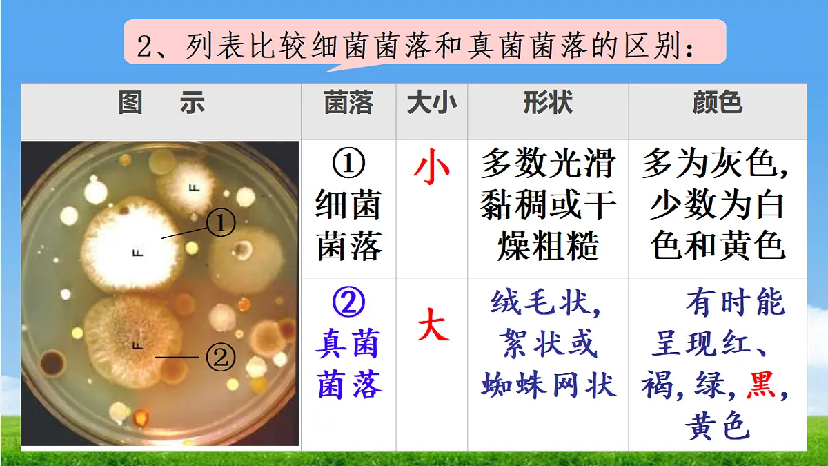 17672775第6页