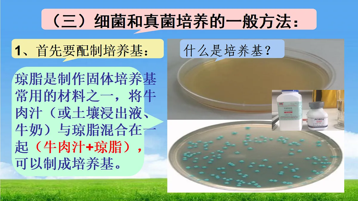 17672775第7页