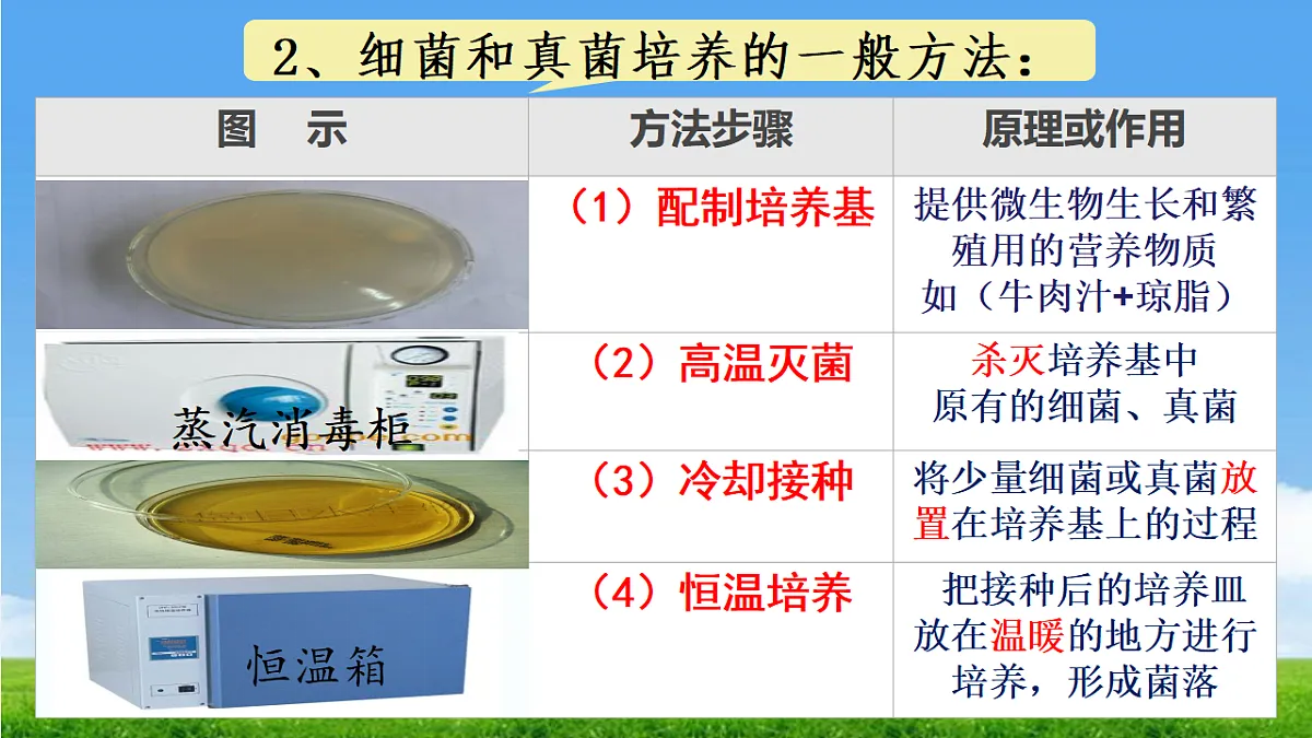 17672775第8页