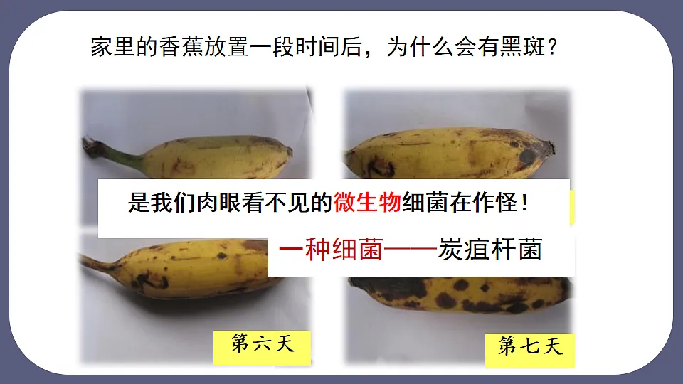 17672776第1页