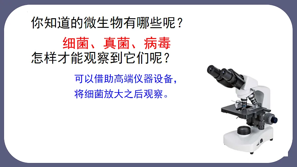 17672776第3页