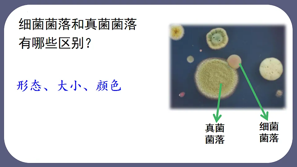 17672776第5页