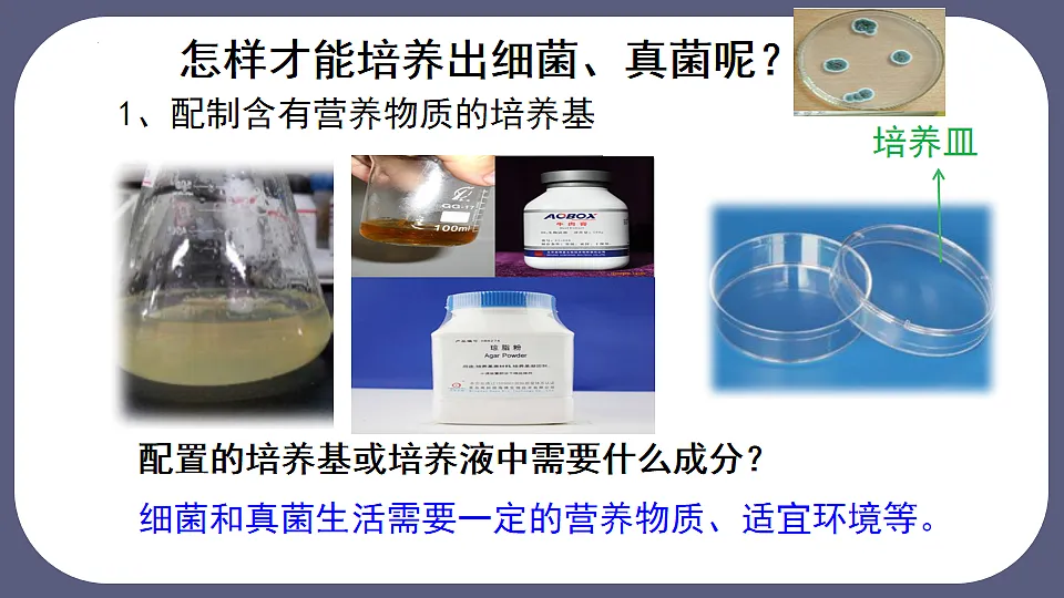 17672776第7页