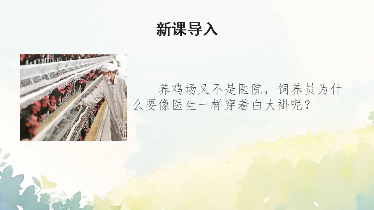 17672778第2页