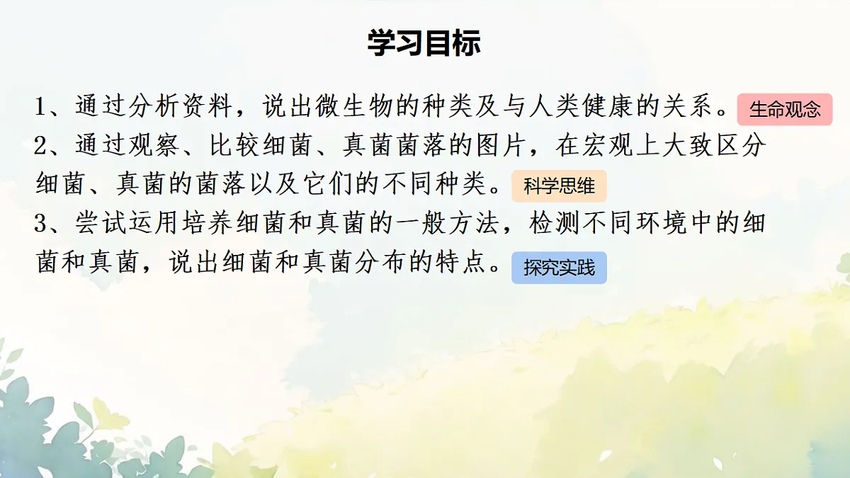 17672778第3页