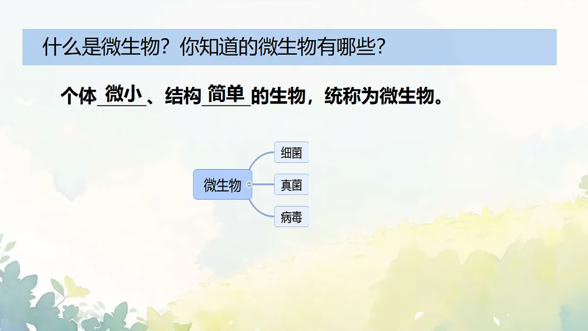 17672778第4页