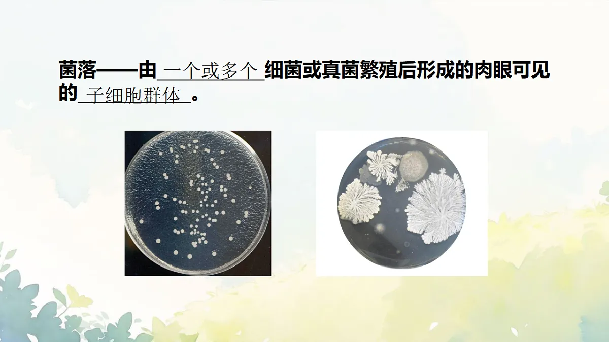 17672778第5页