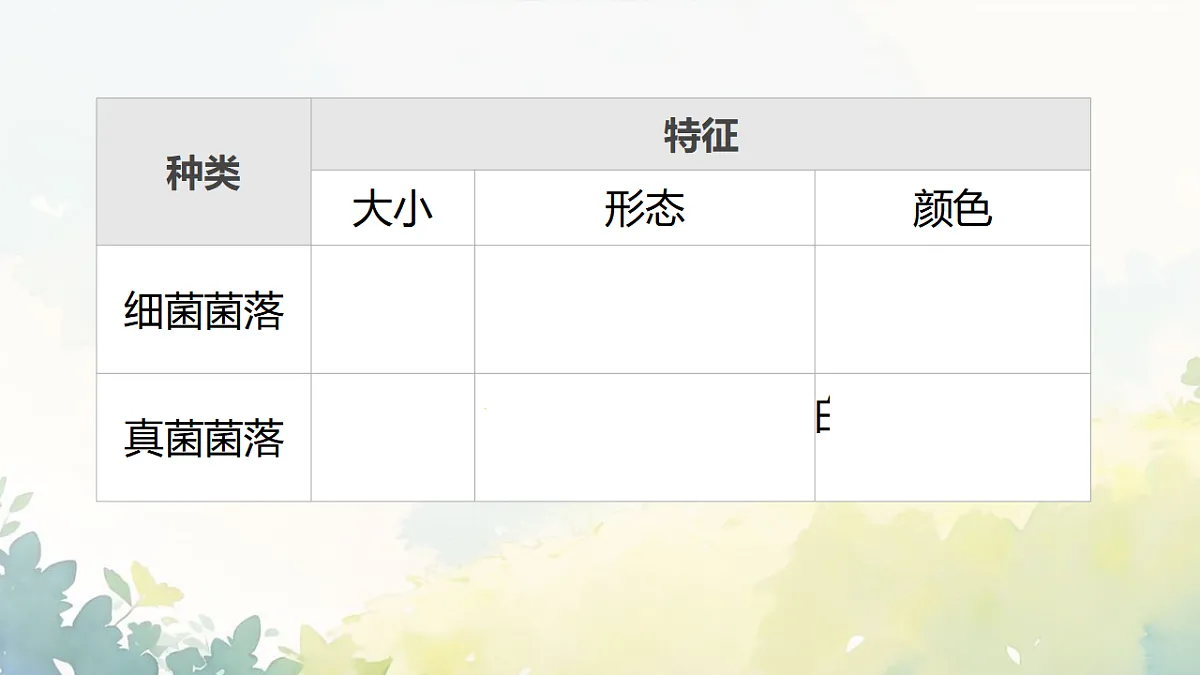 17672778第7页