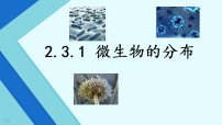 人教版（2024）七年级上册（2024）微生物的分布教学演示课件ppt