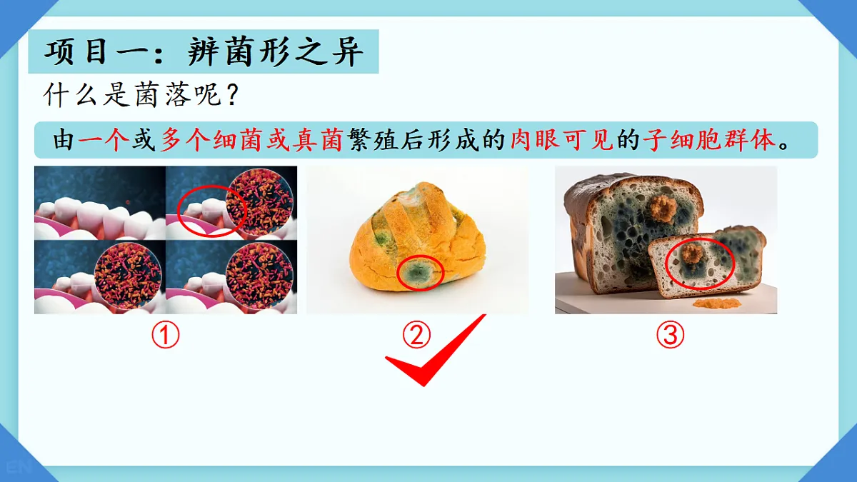 17672779第4页